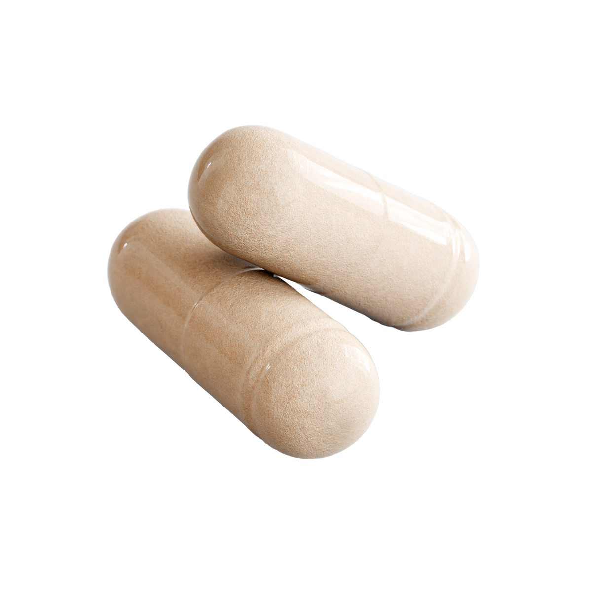 The Quiet - capsule macro